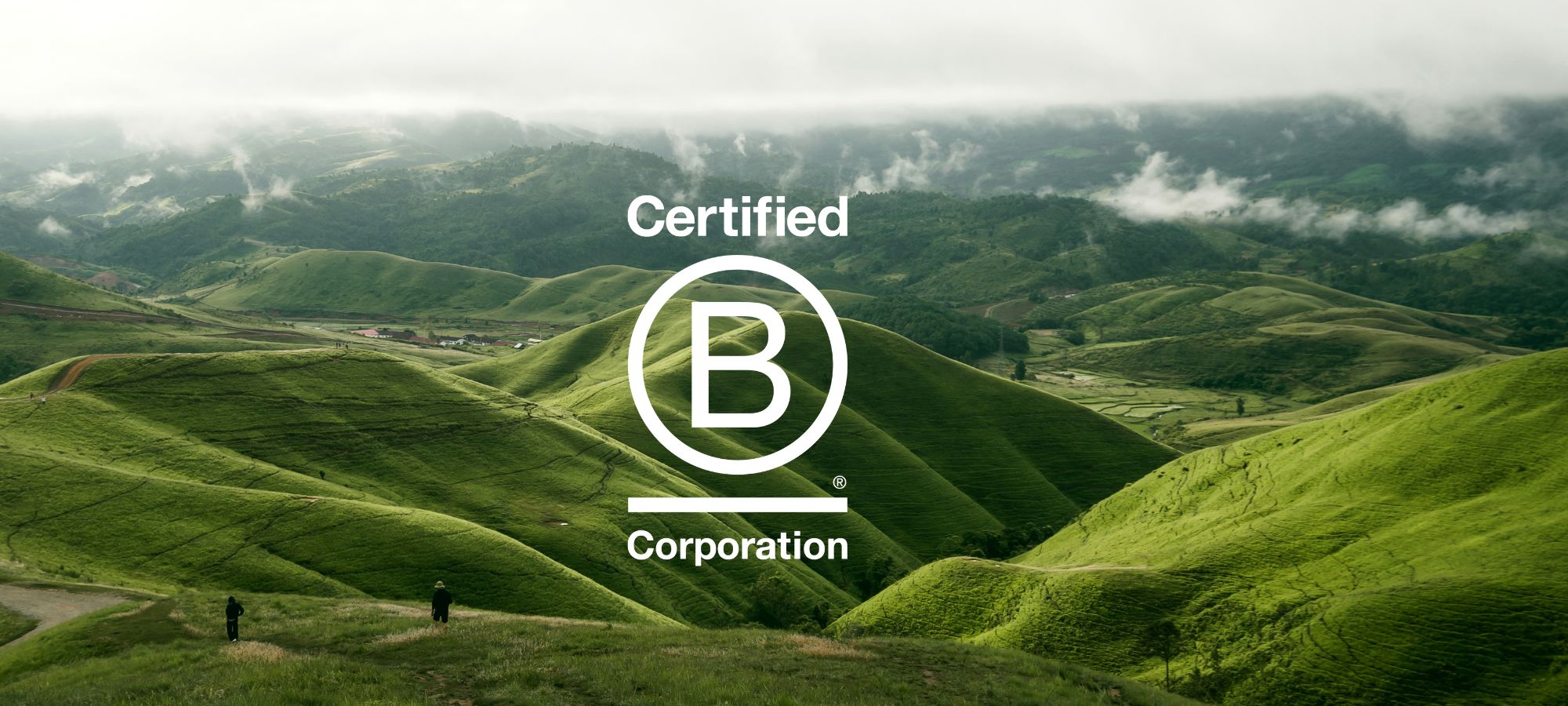 Private Equity & Venture Capital Are Accelerating B-Corp Alignment Across Their Portfolios